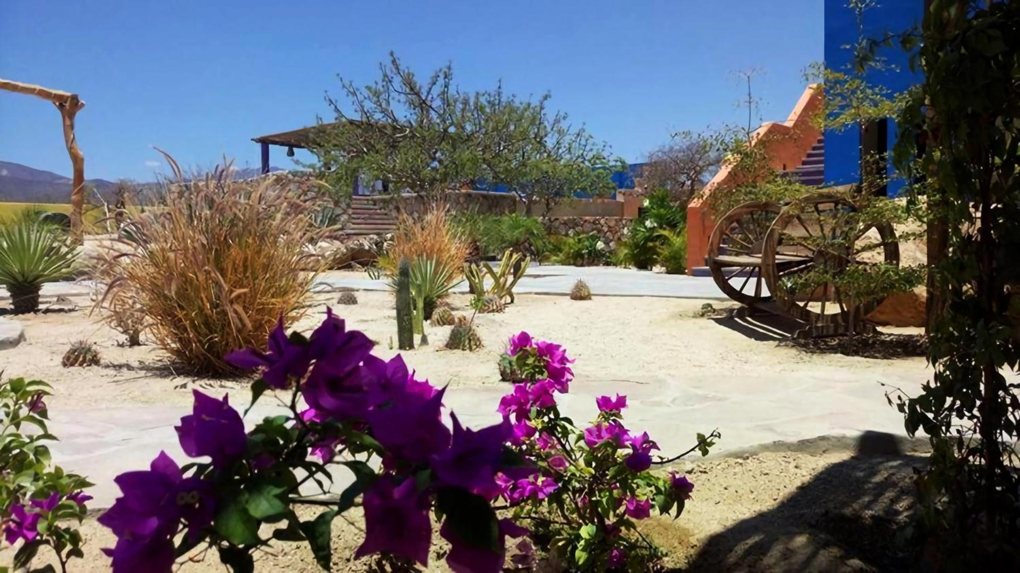 Hotel Boutique Las Terrazas El Cardonal 외부 사진